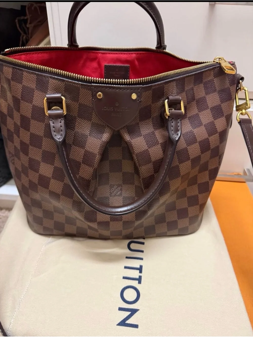 Louis Vuitton classic louis